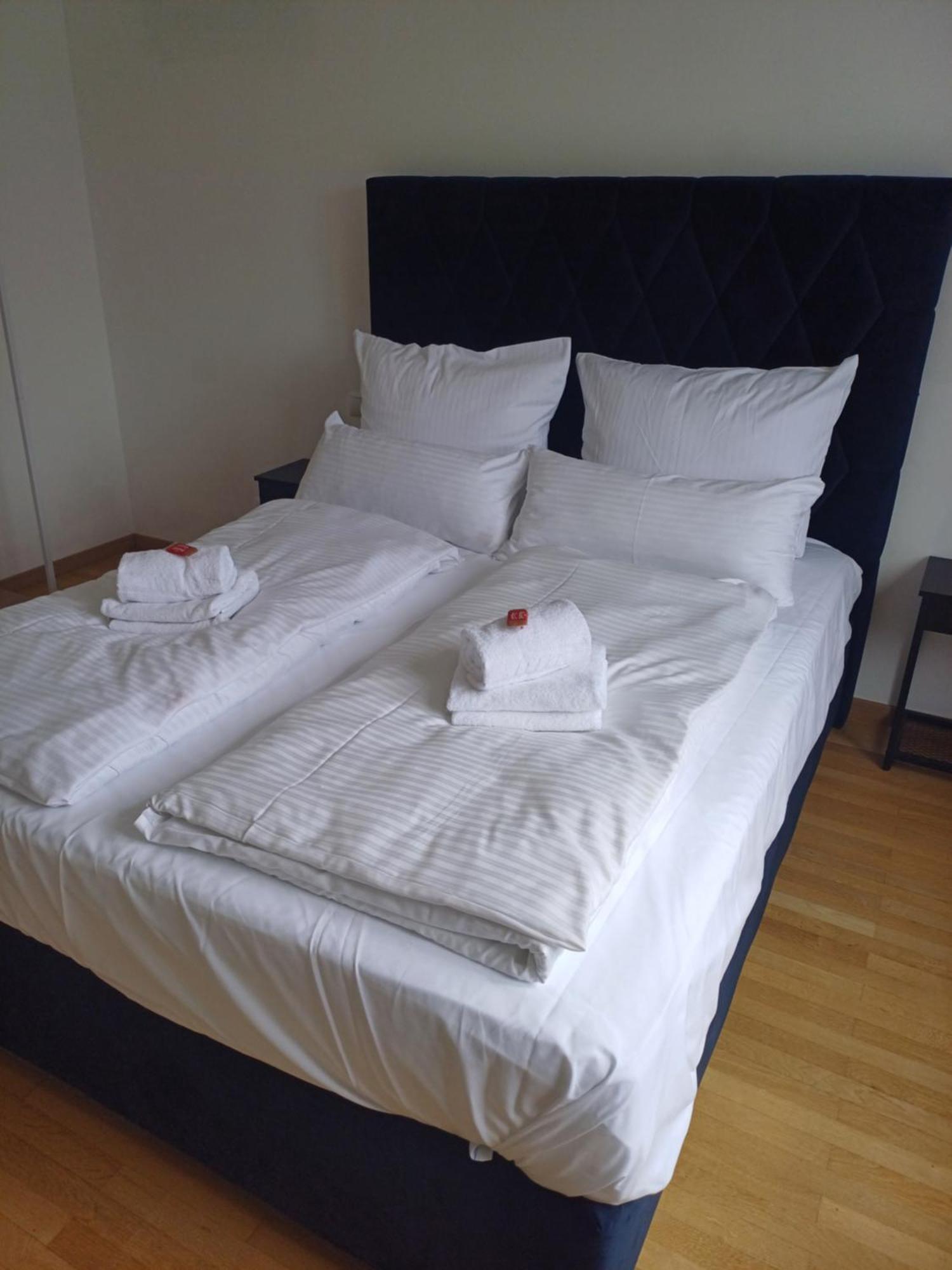 Mader Crown Living Design Apartment - 2 Schlafzimmer - Kueche - Gratis Parkplatz - Abstellraum Fuer Fahrraeder/Ski מראה חיצוני תמונה